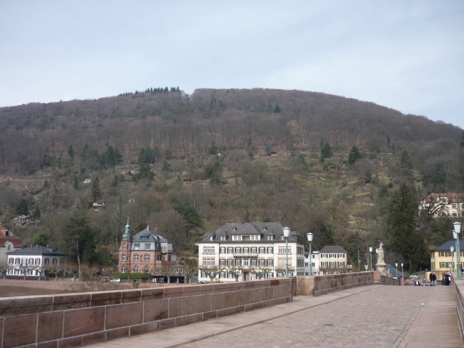 Top 10 Outdoor-Aktivitäten in Heidelberg