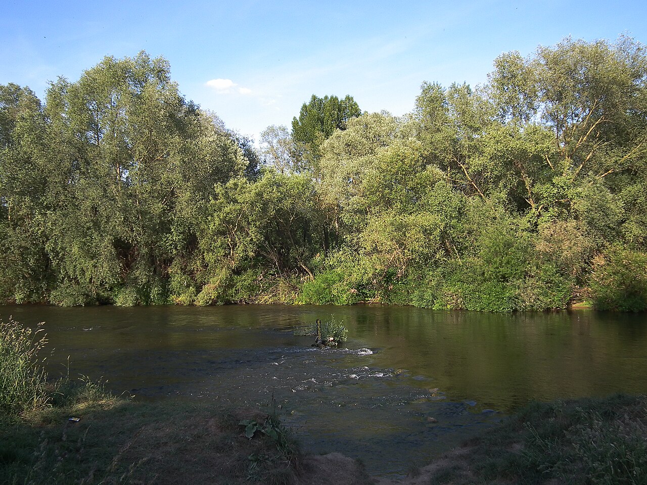 Wieblingen